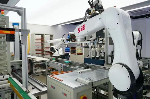 賽意信息2020年度業績說明會 智能制造業務高速增長，研發投入驅動智能機器人創新發展