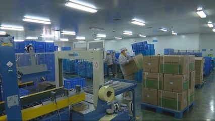 安全培訓(xùn)達(dá)標(biāo)上崗，漢方科技以網(wǎng)絡(luò)技術(shù)開發(fā)奏響復(fù)工復(fù)產(chǎn)前奏曲